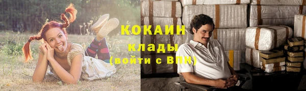 apvp Богородицк