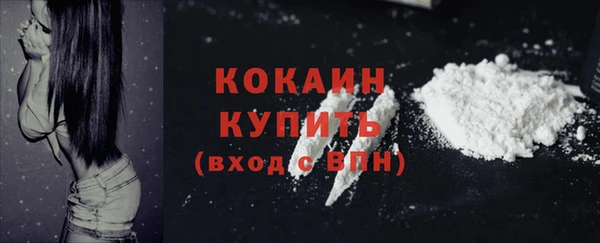 тгк Богородск