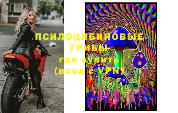 тгк Богородск