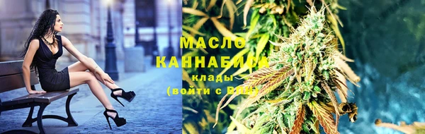 apvp Богородицк