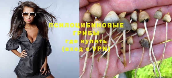 apvp Богородицк