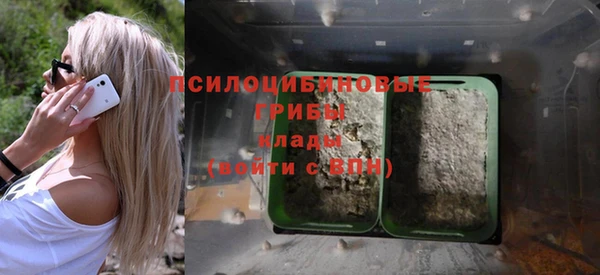 гашиш Богданович